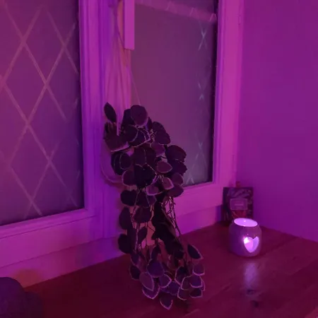 Romantique La Parenthese Angevine Love&spa